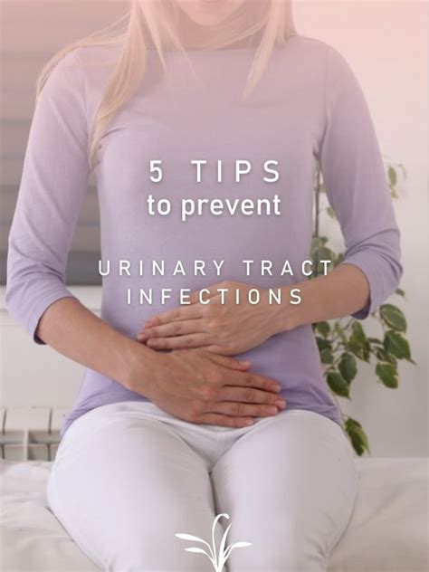 5 Tips To Prevent Urinary Tract Infections Nutribiolite