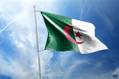 Free Stock Photo Of Algeria Algiers Arabic