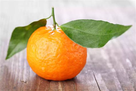 Winter Citrus Learn All About Winter Oranges And Tangerines Orange