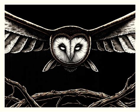 Black And White Owl Prints