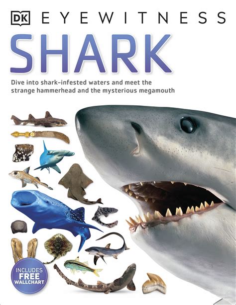Dk Eyewitness Shark Penguin Books Australia