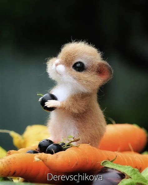 These Cute Fluffy Animals Are True Works Of Art Fluffy Animals Baby