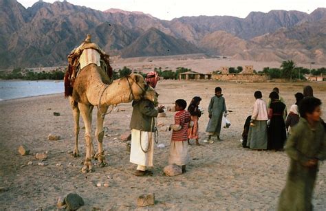 who are the bedouins things to know about nomadic people in sinai and egyptian desert