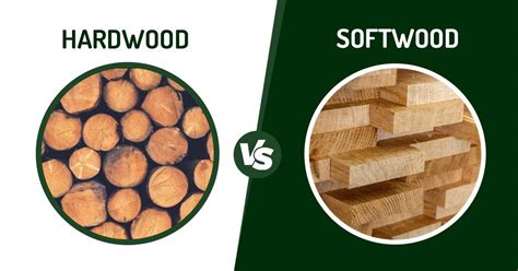 Hardwood Vs Softwood Unraveling The Core Differences