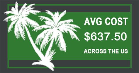 Some homeowners can expect to pay as low as $85 for a small tree trimming job, while others may pay closer to $1,267 for trimming a large tree over 60 feet tall. Palm-Tree-Trimming-Cost - Phoenix Trim-A-Tree, LLC.