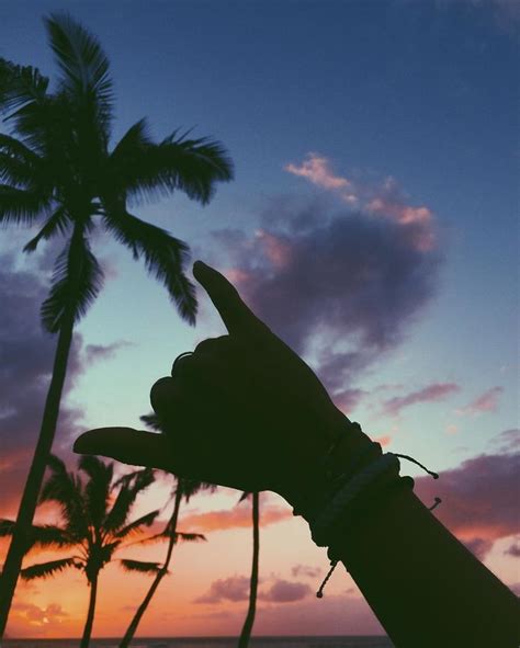 No matter how you decided to apply the inflact instagram downloader, you can collect photos and videos to pc, mac, android, or iphone. Sunset surfer vibes | Fotografía tumblr, Foto tumblr sola y Vibraciones de verano