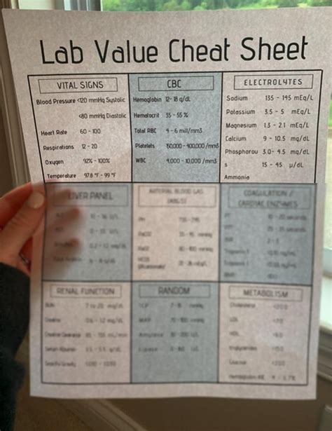 Lab Value Cheat Sheet Memory Tricks Nursing Guides Etsy Nursing Study Guide Lab Values