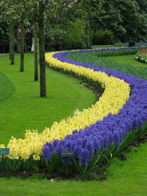 We did not find results for: COLORES COMPLEMENTARIOS. | Jardines, Jardín de flores ...