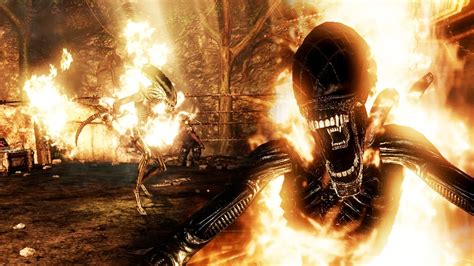 Burning Xenomorphs Aliens Vs Predator Story Mode Youtube