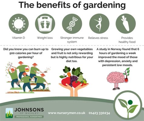 Butterfly gardens and rock gardens, english landscape gardens and windowsill herb gardens. All About... Food Growing at Home - One Planet Forth Valley