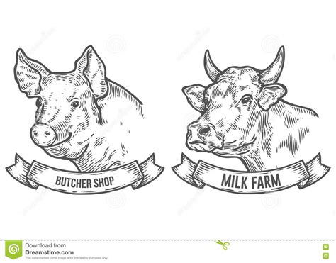 Se agregan miles de imágenes nuevas de alta calidad todos los días. Cabeza De La Vaca Y Del Cerdo Granja De La Leche ...