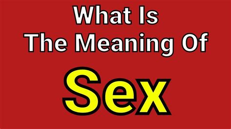 Meaning Of Sex Sex English Vocabulary Most Common Words In