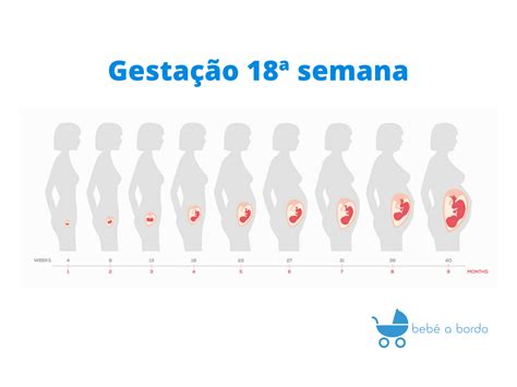 Foto Do Feto Com 18 Semanas