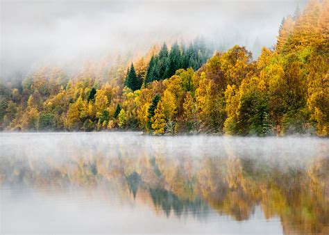 Autumn Mist Photograph By Dave Bowman