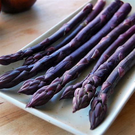 Get the best deals on asparagus vegetable seeds. Purple Passion Asparagus Plants for Sale | Free Shipping