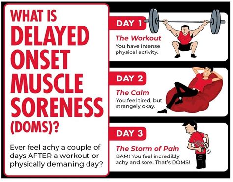 Delayed Onset Muscle Soreness Doms • Bodybuilding Wizard