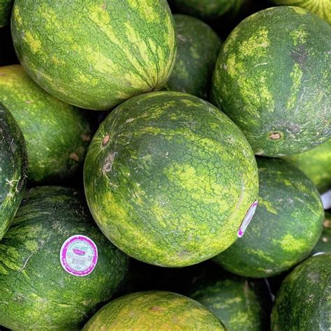 Large Seedless Watermelon Each Approx 8 10 Lbs