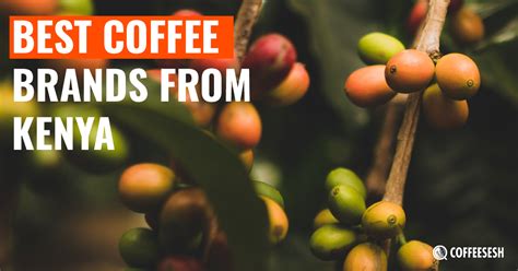 Starbucks kenya whole bean coffee. Coffee Insight: Best Coffee Brands from Kenya | Coffee Sesh