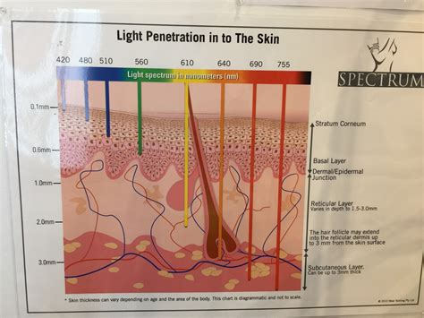 The Cosmetic Medicine Workbook Light Therapy Laser And Ipl