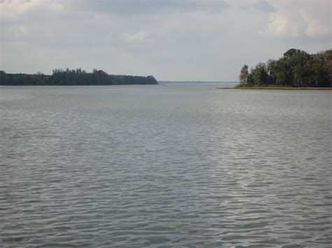 Locate realtors selling lakefront houses and waterfront real estate. Hickory Point - Tavares Florida