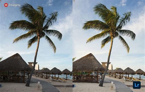 Download from our library of free premiere pro templates for transitions. Presetpro | Free Lightroom Preset Cali Color - Instant ...