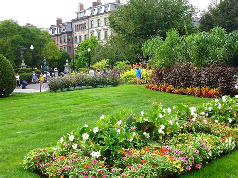 Boston Public Garden Spectacular Flower Gardens Swan Boats The