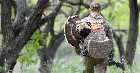 top best turkey hunting vests review and buying guide october 2022