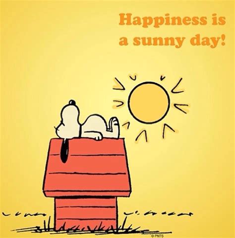 Sunny Day Snoopy Love Snoopy And Woodstock Happy Snoopy Im Happy