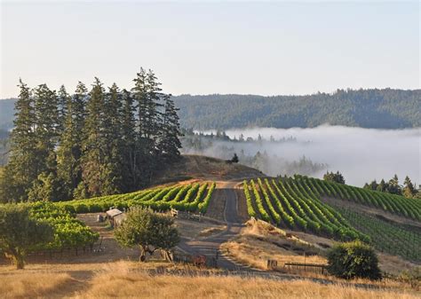 Peay Vineyards West Sonoma Coast Vintners