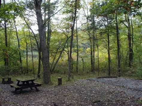 Menu & reservations make reservations. Take a tour of Gifford Pinchot State Park