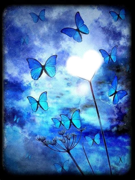 Papillons Bleus Montage Photo Pixiz