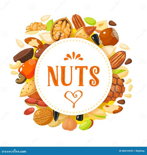 Colour Set Of Nuts Collection Of Nature Items With Names In English