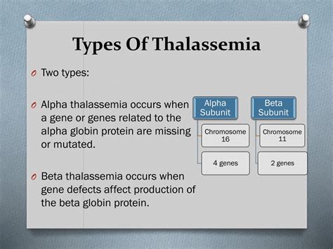 Ppt Thalassemia Powerpoint Presentation Free Download Id8862723