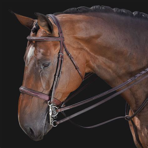 M Toulouse Platinum Devon Hunter Bridle Schneiders Saddlery