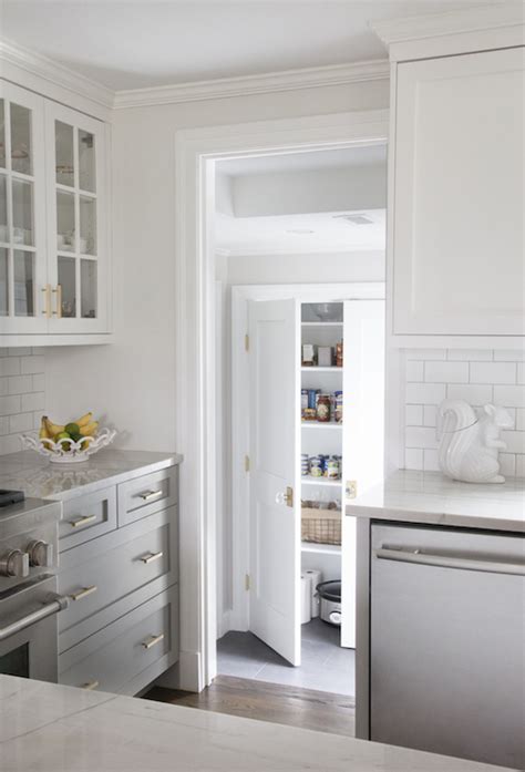 Maybe you would like to learn more about one of these? Bianco Macabus Quartzite Countertops - Transitional ...