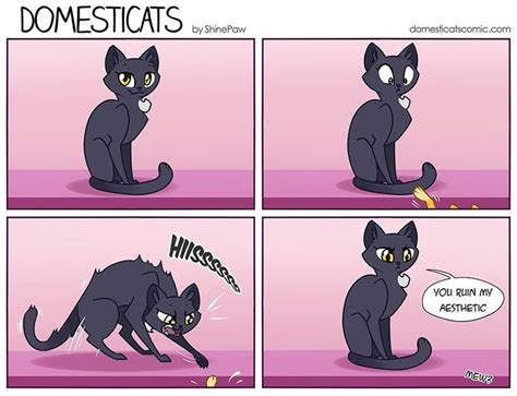 These 10 Domesticat Comics Will Have You Smiling All Day Cute Cats