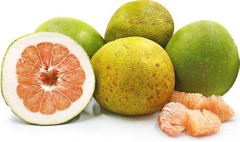 Malaysian Pomelo Information and Facts