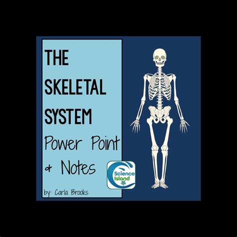 Skeletal System Powerpoint And Notes Science Island