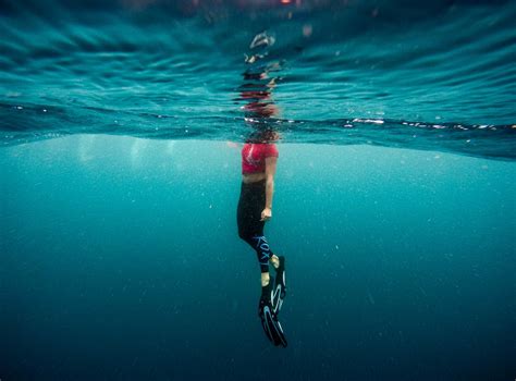 Fotos Gratis Mar Agua Oceano Persona Biología Azul Nadando