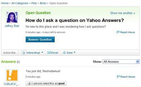50 Dumbest Questions Ever Asked Online And Their Funniest Responses