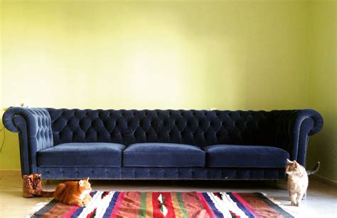 The best sofa in the world. sofa - Em in Jerusalem
