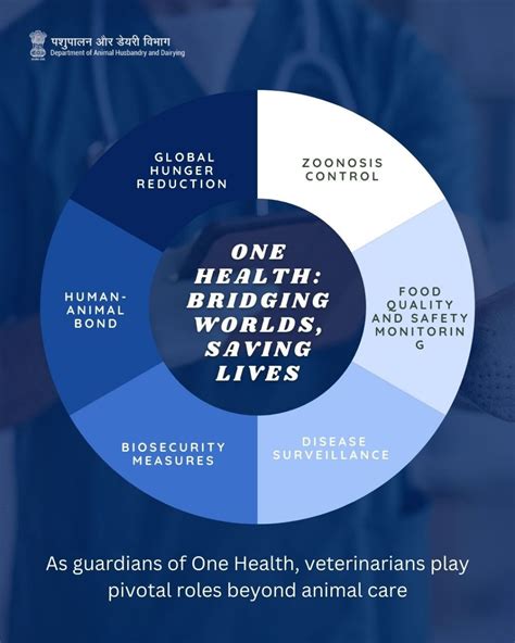 Amit Kumar On Linkedin Guardians Of One Health Vets Salute