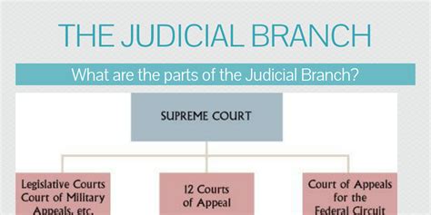 The Judicial Branch Infogram