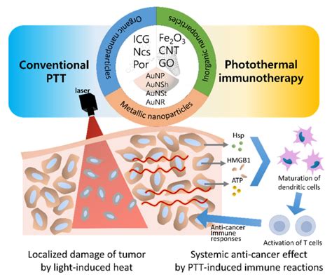 Schematic Diagram Of Nanoparticles For Photothermal Therapy Ptt