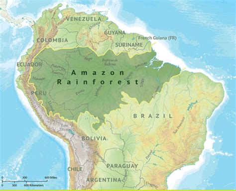 Best Amazon Rainforest On World Map Photos World Map Blank Printable