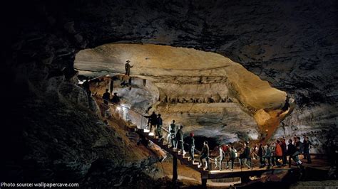 Interesting Facts About Mammoth Cave Just Fun Facts