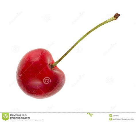 Bing Variety Cherry On White Background Stock Image