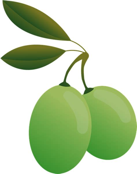 Olive Olive Png Transparent Clipart Full Size Clipart 2027878