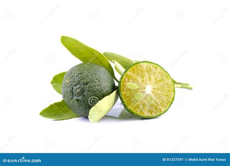 Group Green Calamansi Leaf Used Lemon Isolated White Background Stock