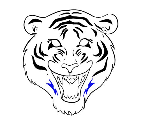 White Tiger Face Realistic Tiger Drawing Easy In One Of The Previous